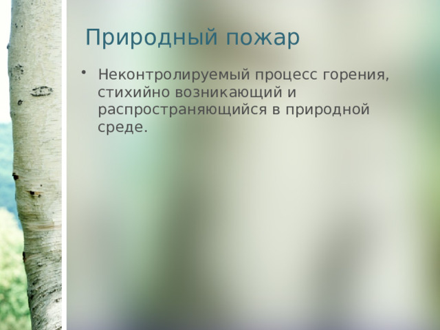 Природный пожар Неконтролируемый процесс горения, стихийно возникающий и распространяющийся в природной среде. 