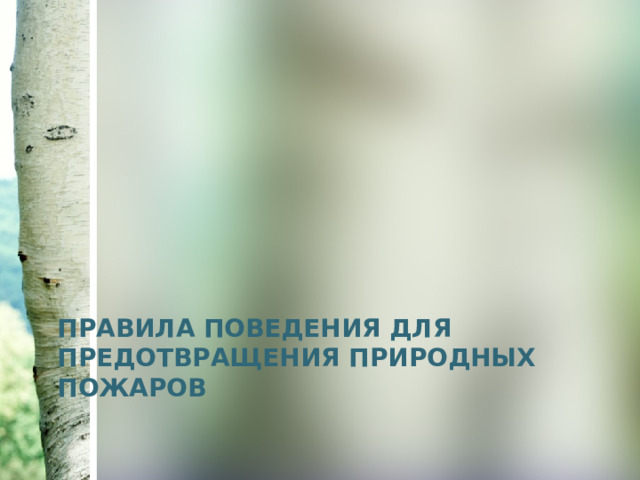 Правила поведения для предотвращения природных пожаров 