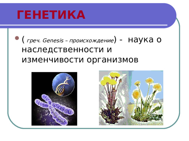 ГЕНЕТИКА (  греч. Genesis – происхождение ) - наука о наследственности и изменчивости организмов 
