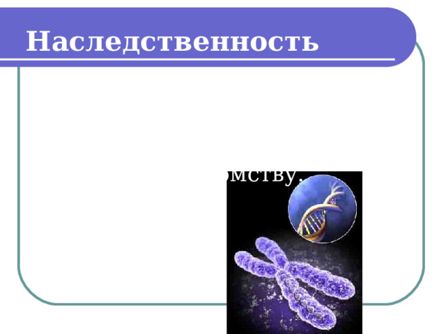 Наследственность – это способность организмов передавать свои признаки и особенности развития потомству.  