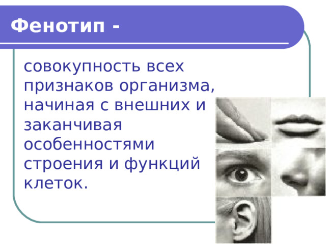 Фенотип - совокупность всех признаков организма, начиная с внешних и заканчивая особенностями строения и функций клеток. 