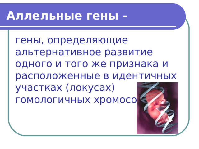 Аллельные гены - гены, определяющие альтернативное развитие одного и того же признака и расположенные в идентичных участках (локусах) гомологичных хромосом. 