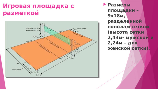 Игровая площадка с разметкой Размеры площадки – 9х18м, разделенной пополам сеткой (высота сетки 2,43м- мужской и 2,24м – для женской сетки). 