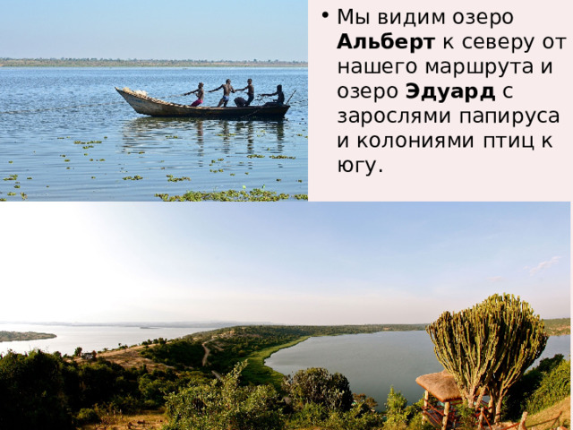 Мы видим озеро Альберт к северу от нашего маршрута и озеро Эдуард с зарослями папируса и колониями птиц к югу. 