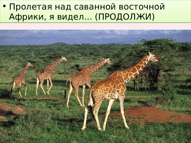 Пролетая над саванной восточной Африки, я видел... (ПРОДОЛЖИ) 
