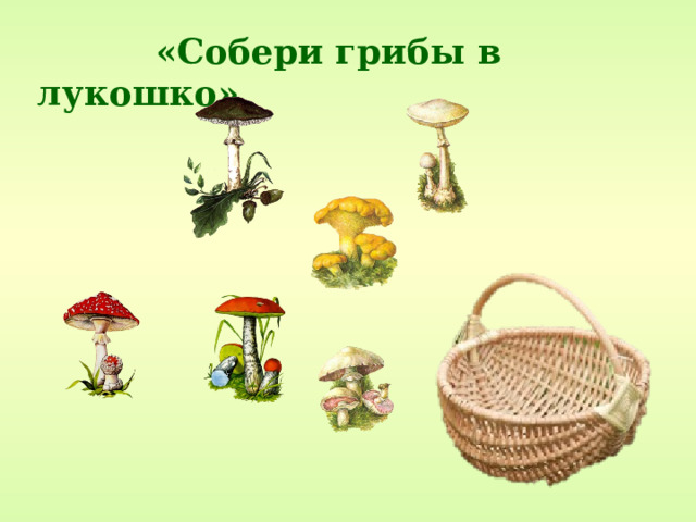   «Собери грибы в лукошко» 