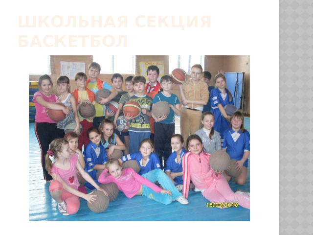 Школьная секция баскетбол 