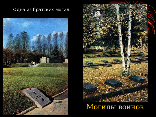 Одна из братских могил Могилы воинов 