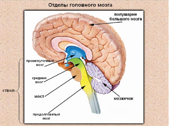 Диск 