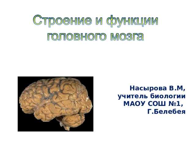 Насырова В.М, учитель биологии МАОУ СОШ №1, Г.Белебея 