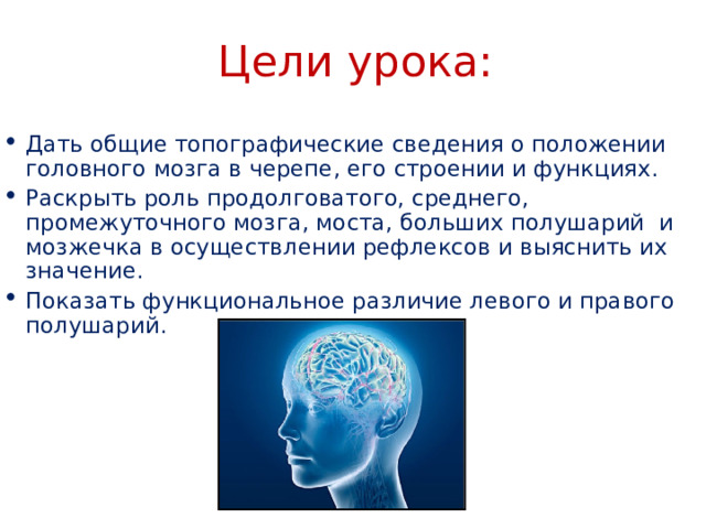 Цели урока: Дать общие топографические сведения о положении головного мозга в черепе, его строении и функциях. Раскрыть роль продолговатого, среднего, промежуточного мозга, моста, больших полушарий и мозжечка в осуществлении рефлексов и выяснить их значение. Показать функциональное различие левого и правого полушарий.  