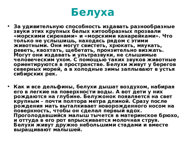 Белуха  