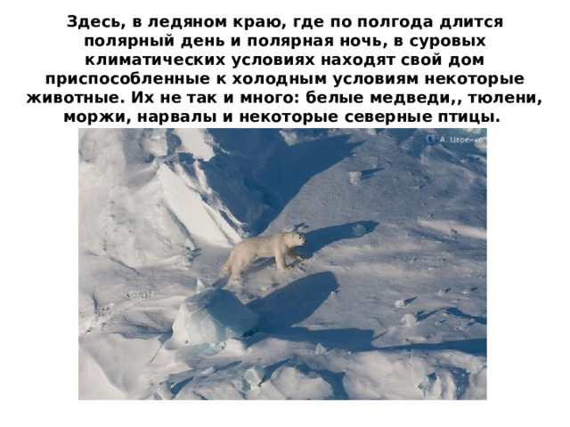   Средняя температура зимой составляет около -50º С.   В этот период выпадает много снега, дуют сильные ветра.  Полярная ночь длится 4 месяца.   Летние температуры в среднем составляют +4º C.   Август считается самым теплым месяцем в году. Озера и  болота отсутствуют.  