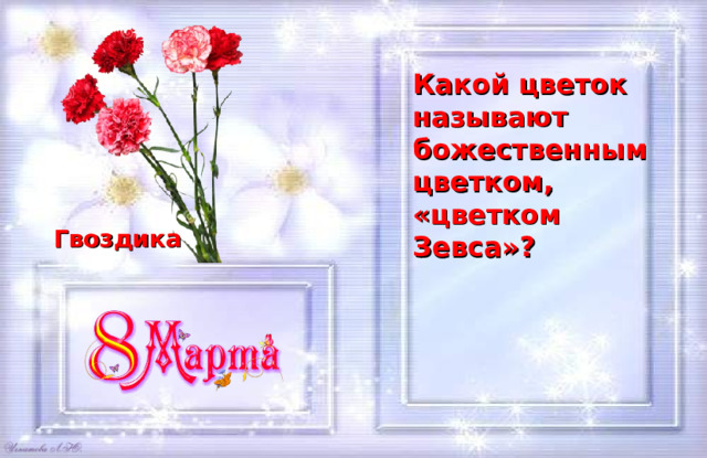Какой цветок называют божественным цветком, «цветком Зевса»? Гвоздика 