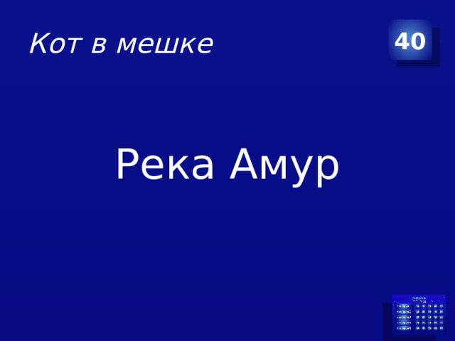 Кот в мешке 40 Река Амур
