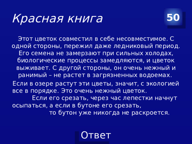 Красная книга 50 Этот цветок совместил в себе несовместимое. С одной стороны, пережил даже ледниковый период. Его семена не замерзают при сильных холодах, биологические процессы замедляются, и цветок выживает. С другой стороны, он очень нежный и ранимый – не растет в загрязненных водоемах. Если в озере растут эти цветы, значит, с экологией все в порядке. Это очень нежный цветок. Если его срезать, через час лепестки начнут осыпаться, а если в бутоне его срезать, то бутон уже никогда не раскроется.