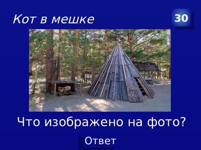 Кот в мешке 30  Что изображено на фото?