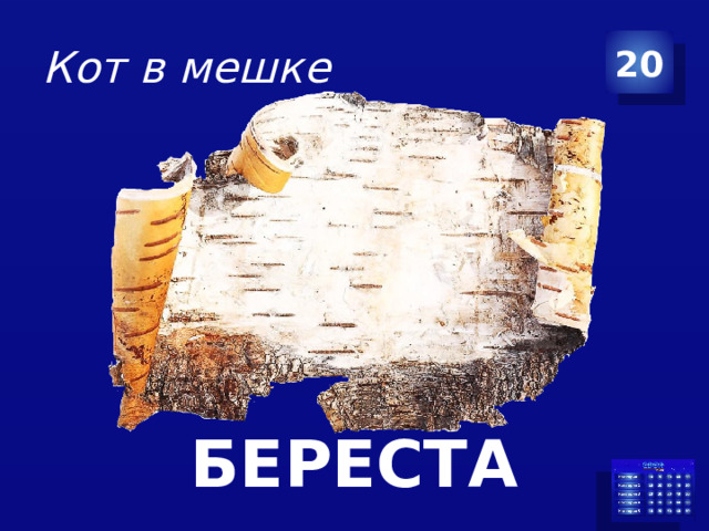 Кот в мешке 20 БЕРЕСТА