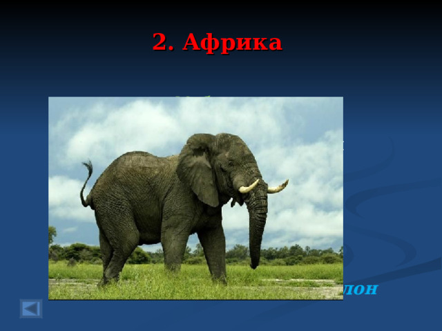 2. Африка 60 баллов.  Чтобы с местностью сливаться Стали все маскироваться Кто зеленый, кто пятнистый Полосатый, золотистый. Но не прячется лишь он Потому что это ….  Ответ: Слон  
