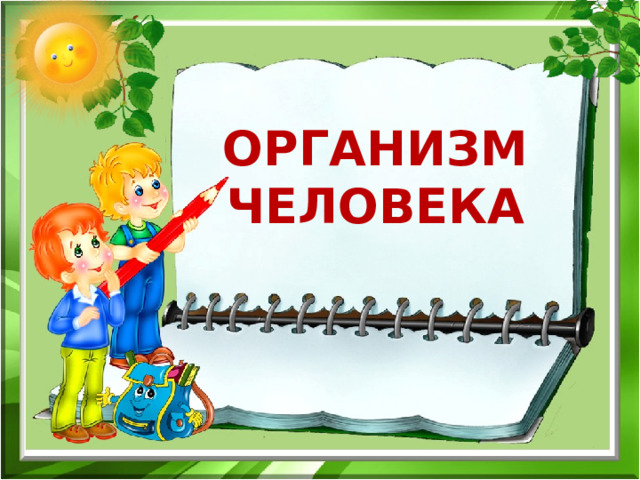 Организм человека   