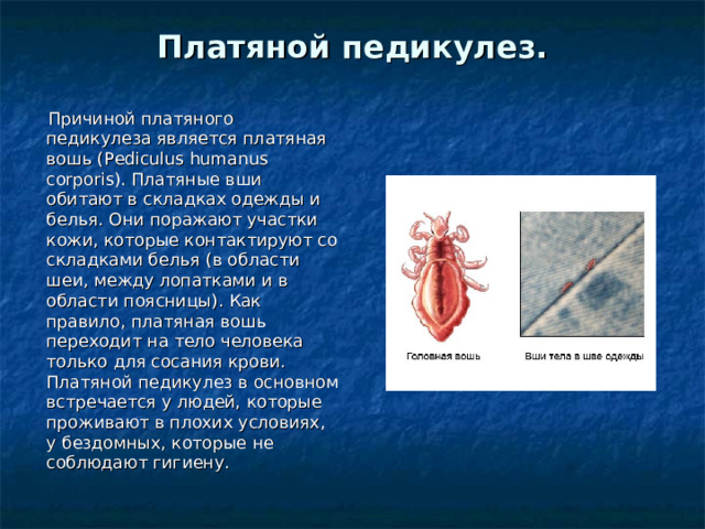 Платяной педикулез.     Причиной платяного педикулеза является платяная вошь (Pediculus humanus corporis). Платяные вши обитают в складках одежды и белья. Они поражают участки кожи, которые контактируют со складками белья (в области шеи, между лопатками и в области поясницы). Как правило, платяная вошь переходит на тело человека только для сосания крови. Платяной педикулез в основном встречается у людей, которые проживают в плохих условиях, у бездомных, которые не соблюдают гигиену. 