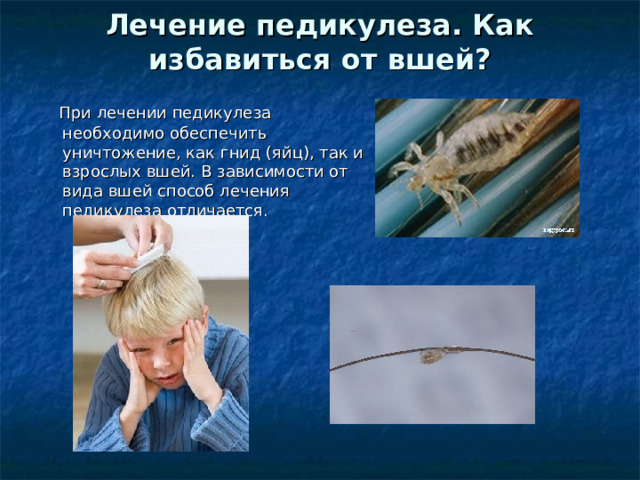 Лечение педикулеза. Как избавиться от вшей?     При лечении педикулеза необходимо обеспечить уничтожение, как гнид (яйц), так и взрослых вшей. В зависимости от вида вшей способ лечения педикулеза отличается. 