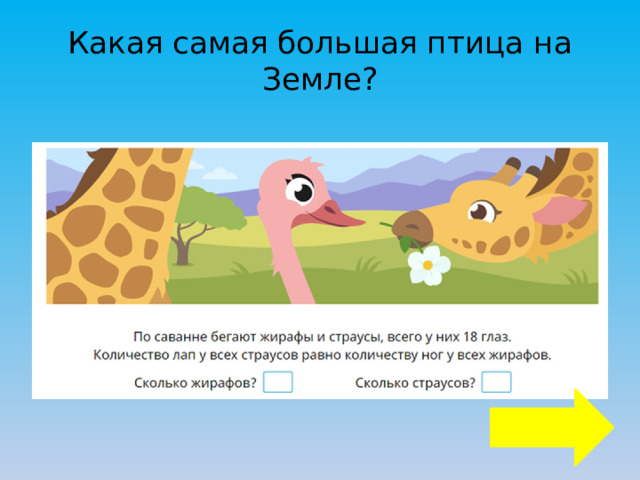 Какая самая большая птица на Земле? 