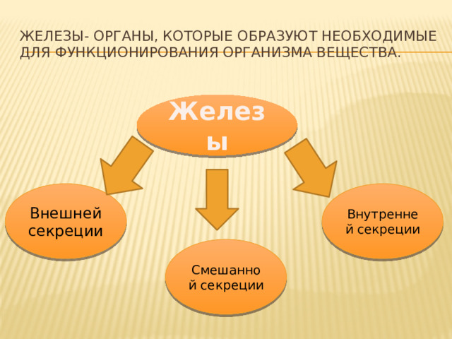 ЖЕЛЕЗЫ- ОРГАНЫ, КОТОРЫЕ ОБРАЗУЮТ НЕОБХОДИМЫЕ ДЛЯ ФУНКЦИОНИРОВАНИЯ ОРГАНИЗМА ВЕЩЕСТВА. Железы Внешней секреции Внутренней секреции Смешанной секреции 