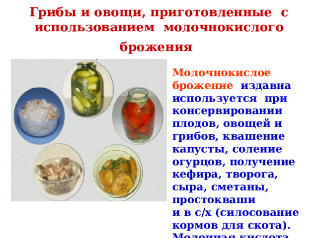 Грибы и овощи, приготовленные с использованием молочнокислого брожения  Молочнокислое брожение издавна используется при консервировании плодов, овощей и грибов, квашение капусты, соление огурцов, получение кефира, творога, сыра, сметаны, простокваши и в с/х (силосование кормов для скота). Молочная кислота предохраняет продукты от процесса гниения  