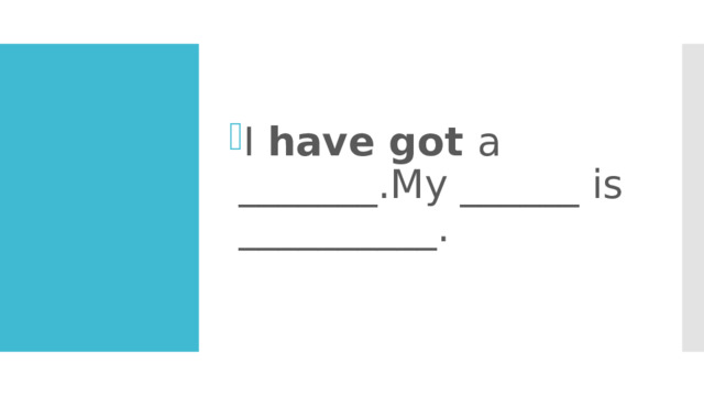 I have got a _______.My ______ is __________. 