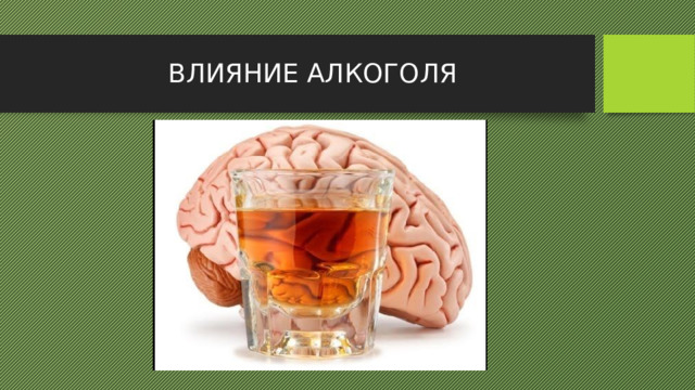 ВЛИЯНИЕ АЛКОГОЛЯ 