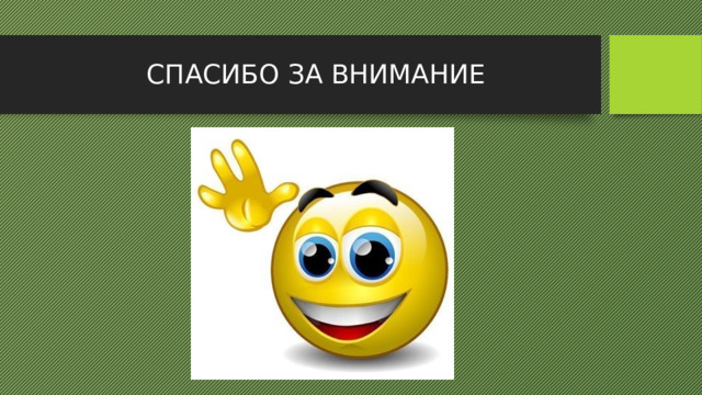 СПАСИБО ЗА ВНИМАНИЕ 