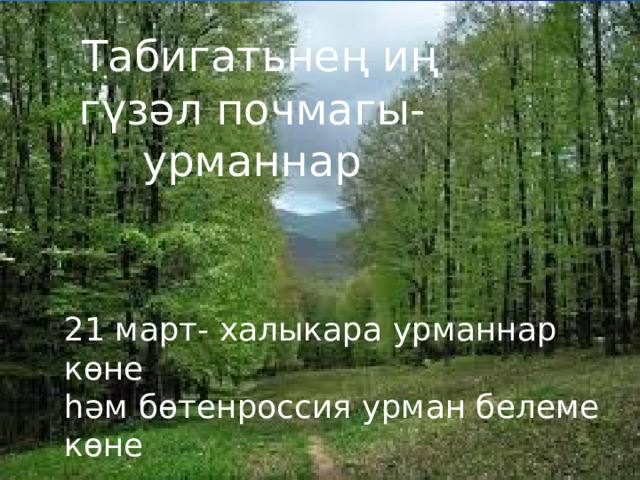  Табигатьнең иң гүзәл почмагы-  урманнар 21 март- халыкара урманнар көне һәм бөтенроссия урман белеме көне  