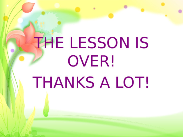 THE LESSON IS OVER! THANKS A LOT! 