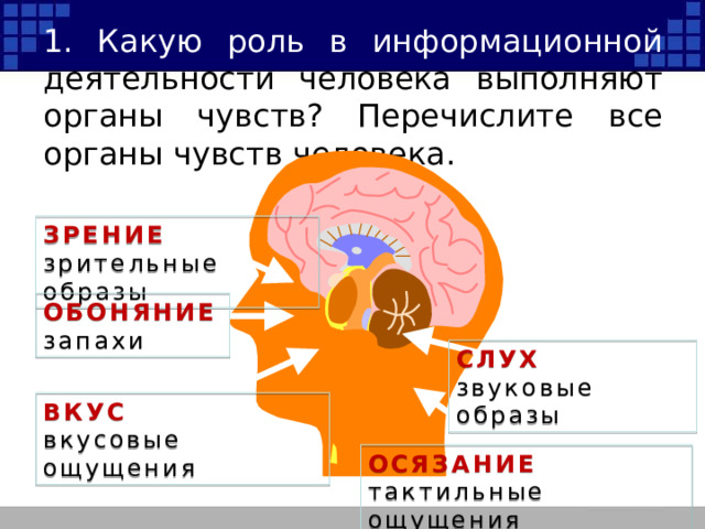 1. Какую роль в информационной деятельности человека выполняют органы чувств? Перечислите все органы чувств человека. ЗРЕНИЕ зрительные образы ОБОНЯНИЕ запахи СЛУХ звуковые образы ВКУС вкусовые ощущения ОСЯЗАНИЕ тактильные ощущения 