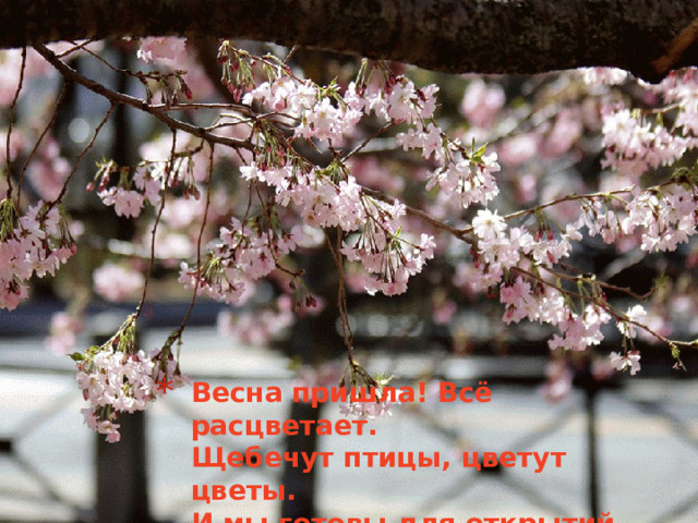 Весна пришла! Всё расцветает.  Щебечут птицы, цветут цветы.  И мы готовы для открытий  Секретов  матушки Земли.   