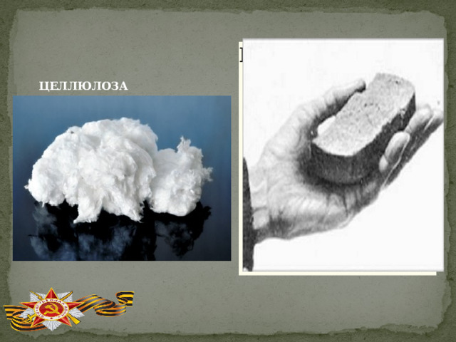 Вставка рисунка  ЦЕЛЛЮЛОЗА  