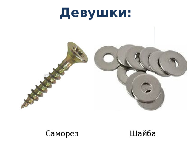 Девушки: Балансир Дюбель Наждачка Саморез       Шайба
