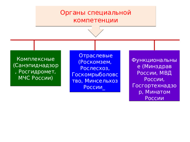Органы специальной компетенции Комплексные  Отраслевые (Роскомзем, Рослесхоз, Госкомрыболовство, Минсельхоз России_  Функциональные (Минздрав России, МВД России, Госгортехнадзор, Минатом России (Санэпиднадзор, Росгидромет, МЧС России) 