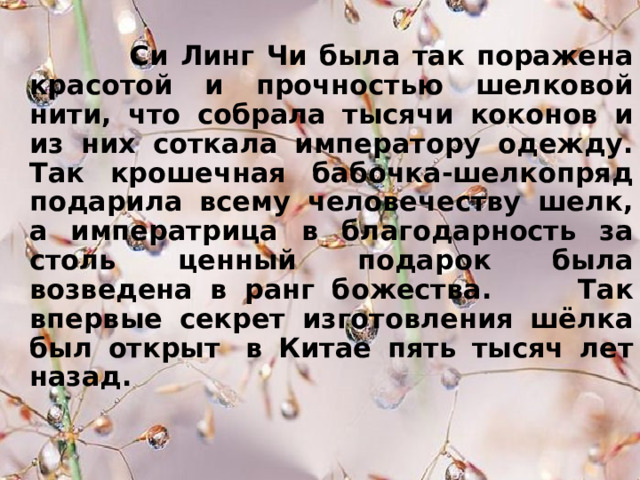  Си Линг Чи была так поражена красотой и прочностью шелковой нити, что собрала тысячи коконов и из них соткала императору одежду. Так крошечная бабочка-шелкопряд подарила всему человечеству шелк, а императрица в благодарность за столь ценный подарок была возведена в ранг божества. Так впервые секрет изготовления шёлка был открыт  в Китае пять тысяч лет назад.  