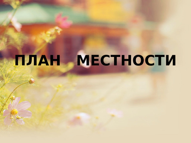 ПЛАН МЕСТНОСТИ 