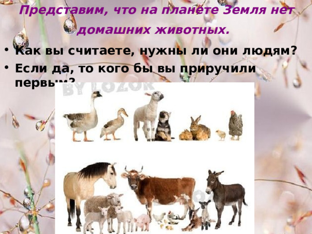 Представим, что на планете Земля нет домашних животных.  Как вы считаете, нужны ли они людям? Если да, то кого бы вы приручили первым?  