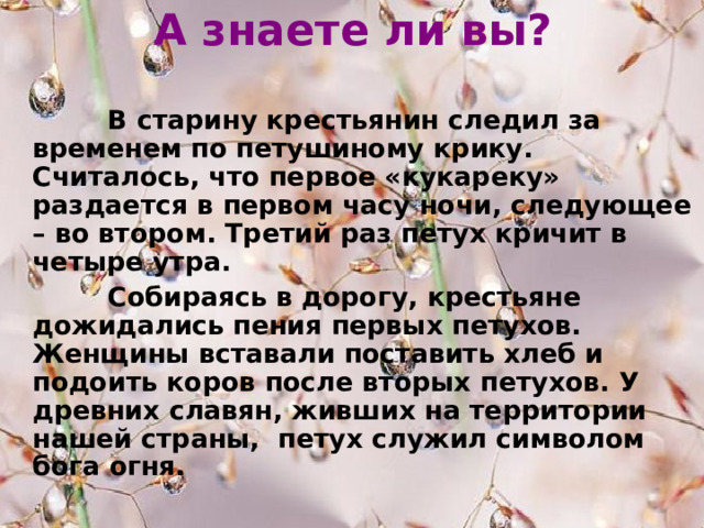 А знаете ли вы?  В старину крестьянин следил за временем по петушиному крику. Считалось, что первое «кукареку» раздается в первом часу ночи, следующее – во втором. Третий раз петух кричит в четыре утра.  Собираясь в дорогу, крестьяне дожидались пения первых петухов. Женщины вставали поставить хлеб и подоить коров после вторых петухов. У древних славян, живших на территории нашей страны, петух служил символом бога огня. 