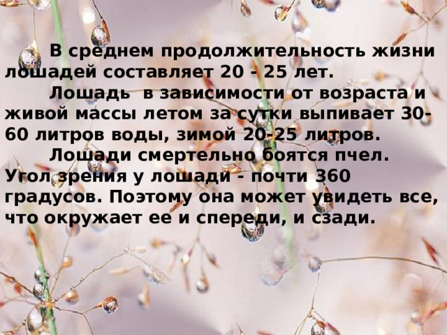  В среднем продолжительность жизни лошадей составляет 20 - 25 лет.  Лошадь в зависимости от возраста и живой массы летом за сутки выпивает 30-60 литров воды, зимой 20-25 литров.  Лошади смертельно боятся пчел. Угол зрения у лошади - почти 360 градусов. Поэтому она может увидеть все, что окружает ее и спереди, и сзади.    