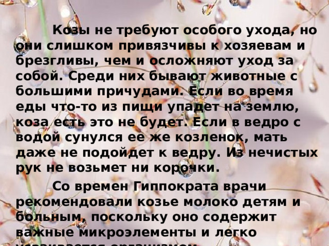  Козы не требуют особого ухода, но они слишком привязчивы к хозяевам и брезгливы, чем и осложняют уход за собой. Среди них бывают животные с большими причудами. Если во время еды что-то из пищи упадет на землю, коза есть это не будет. Если в ведро с водой сунулся ее же козленок, мать даже не подойдет к ведру. Из нечистых рук не возьмет ни корочки.  Со времен Гиппократа врачи рекомендовали козье молоко детям и больным, поскольку оно содержит важные микроэлементы и легко усваивается организмом. 