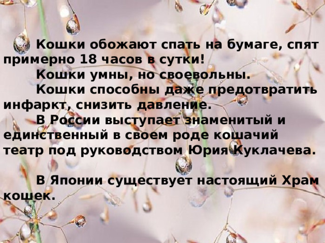       Кошки обожают спать на бумаге, спят примерно 18 часов в сутки!  Кошки умны, но своевольны.  Кошки способны даже предотвратить инфаркт, снизить давление.   В России выступает знаменитый и единственный в своем роде кошачий театр под руководством Юрия Куклачева.       В Японии существует настоящий Храм кошек. 