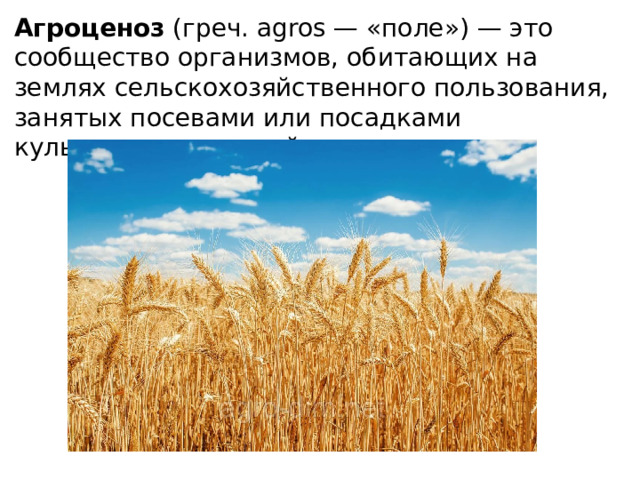 Агроценоз (греч. agros — «поле») — это сообщество организмов, обитающих на землях сельскохозяйственного пользования, занятых посевами или посадками культурных растений. 