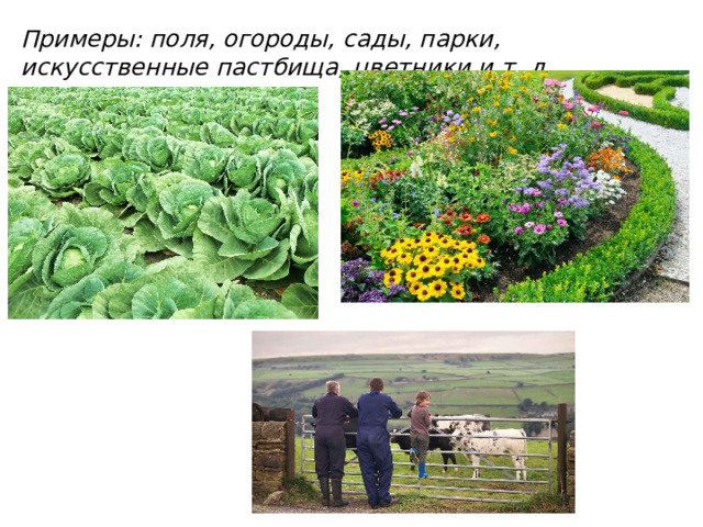Примеры: поля, огороды, сады, парки, искусственные пастбища, цветники и т. д. 
