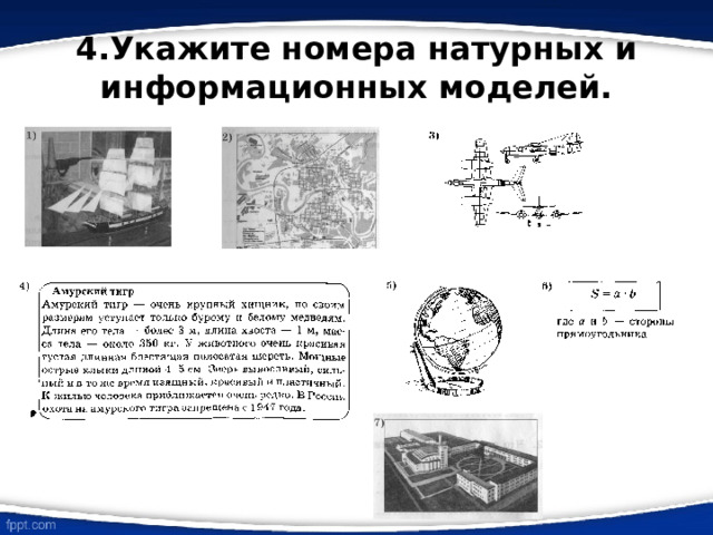 4.Укажите номера натурных и информационных моделей. 