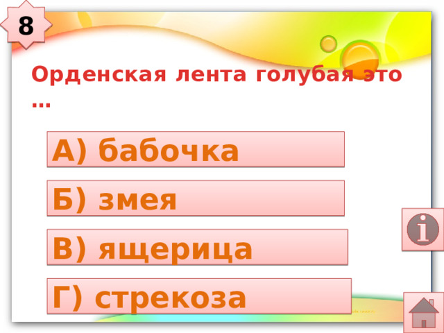8 Орденская лента голубая это … А) бабочка Б) змея В) ящерица Г) стрекоза 